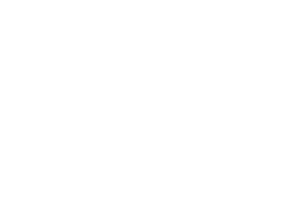 Virtual Typhoon Display Team